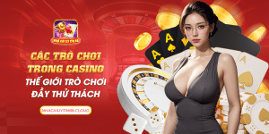 14 cac tro choi trong casino the gioi tro choi day thu thach