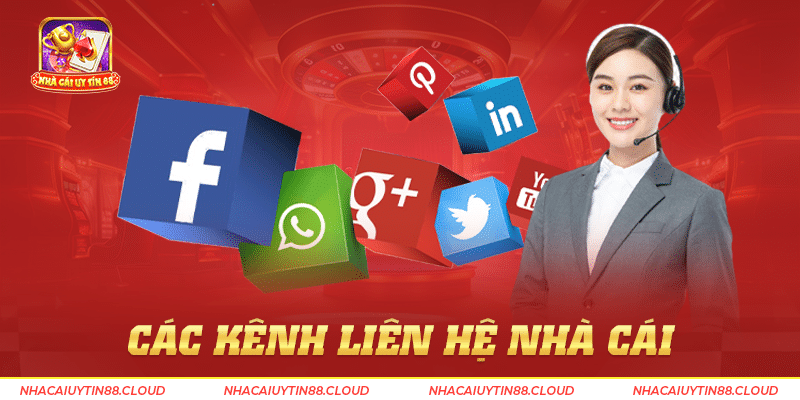 Liên hệ
