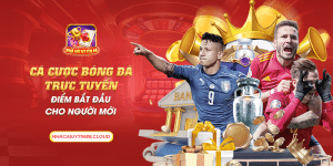 2 ca cuoc bong da truc tuyen diem bat dau cho nguoi moi