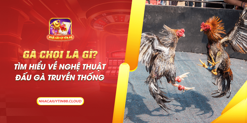 3 ga choi la gi tim hieu ve nghe thuat dau ga truyen thong