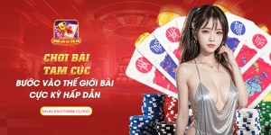 37 choi bai tam cuc buoc vao the gioi bai cuc ky hap dan