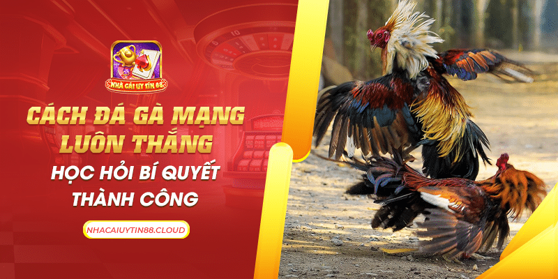 39 cach da ga mang luon thang hoc hoi bi quyet thanh cong