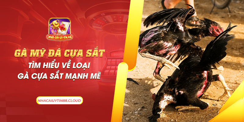 40 ga my da cua sat tim hieu ve loai ga cua sat manh me