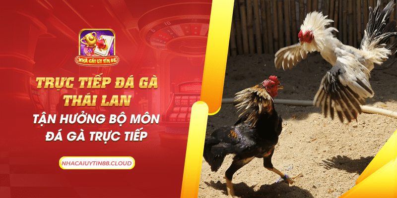 42 truc tiep da ga thai lan tan huong bo mon da ga truc tiep