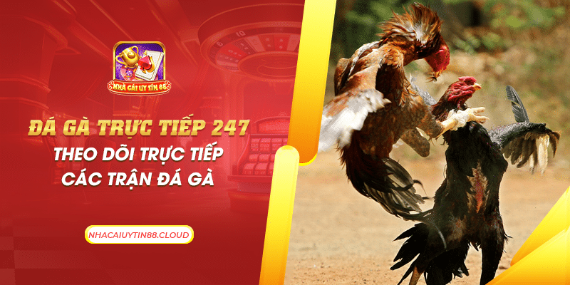 43 da ga truc tiep 247 theo doi truc tiep cac tran da ga