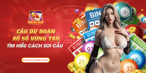 47 cau du doan xo so vung tau tim hieu cach soi cau