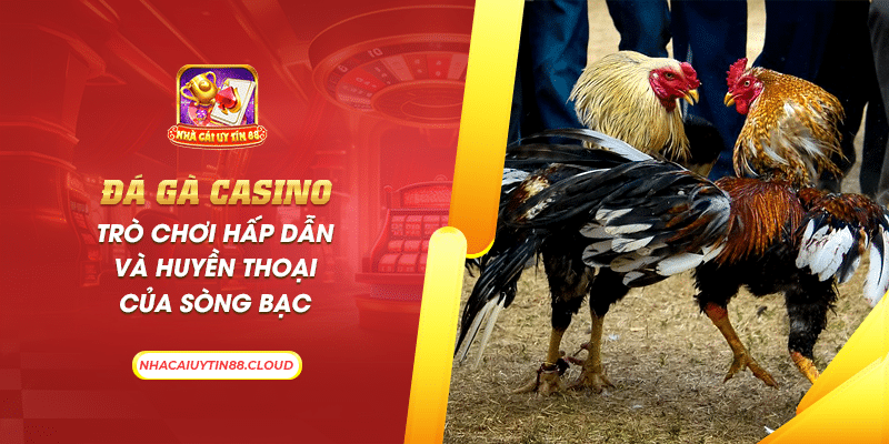 5 da ga casino tro choi hap dan va huyen thoai cua song bac