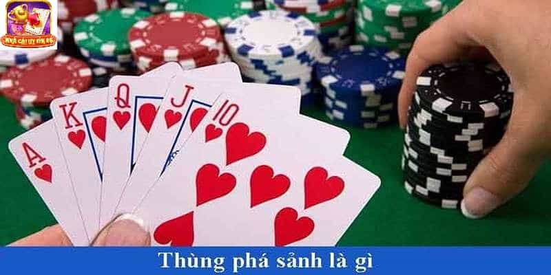 Giới thiệu đôi nét về thùng phá sảnh là gì?